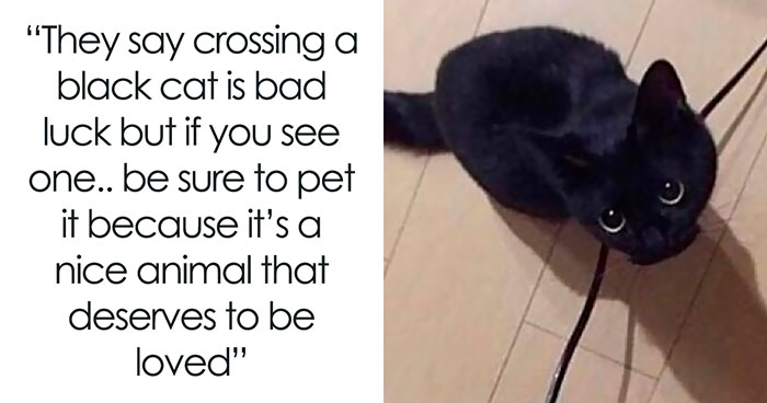 50 Tumblr Posts That Won The Internet And Deserve To Stay On It Forever