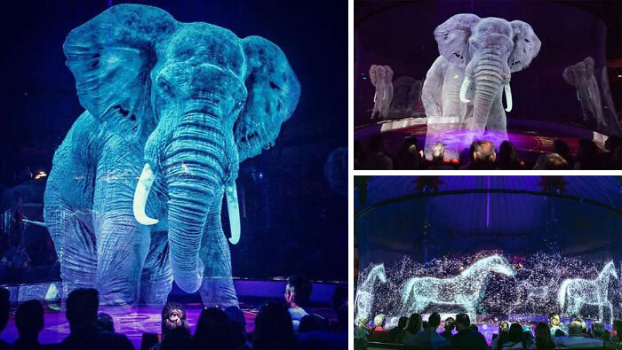 Holographic elephant and horse projections captivating an audience with extraordinary and fascinating visual effects.