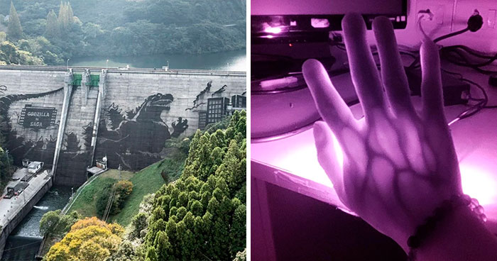 50 Random Things People Found That Are Too Interesting Not To Share (New Pics)