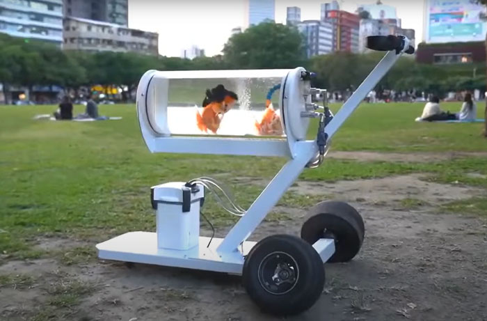 Unusual weird invention of a mobile tank-like device housing two goldfish, displayed outdoors on grass.