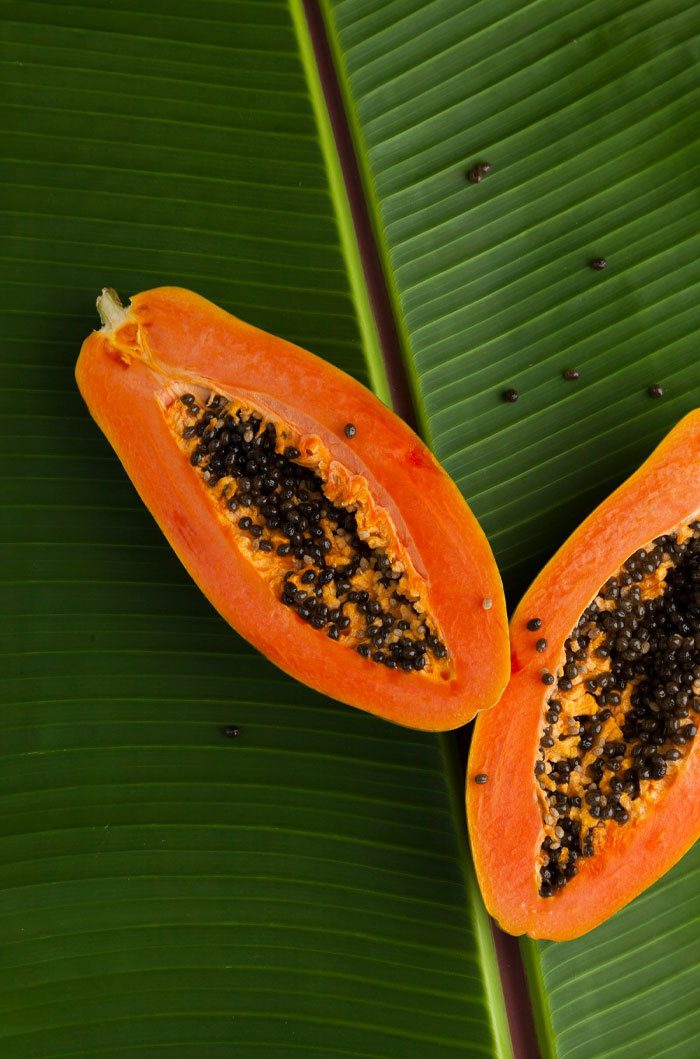 Two halves of ripe papaya with black seeds placed on large green tropical leaves showing American foods banned in other countries.