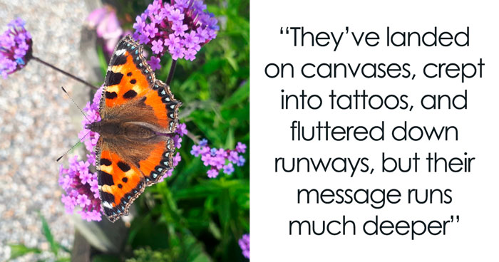 What Butterflies Teach Us About Transformation And Growth