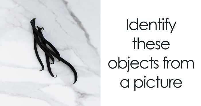 “Can You Actually Name These Objects Just By Looking At Them?”: Prove It & Score Above 22/29