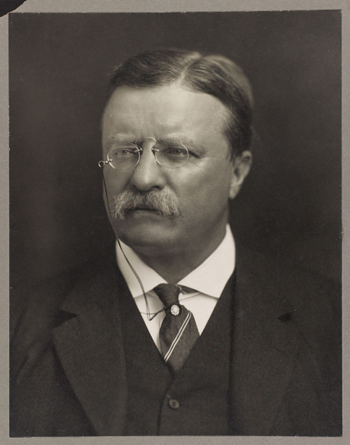 Vintage black and white portrait of US president Theodore Roosevelt in formal attire related to highest IQ ranking of presidents.