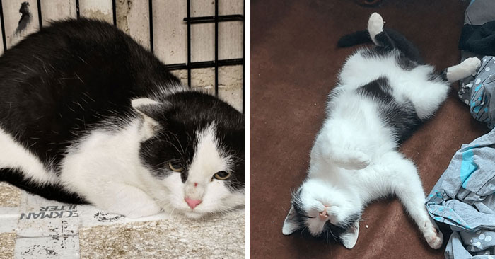 50 People Who Just Needed To Share Amazing Transformations Of People, Animals, Things And Places (New Pics)