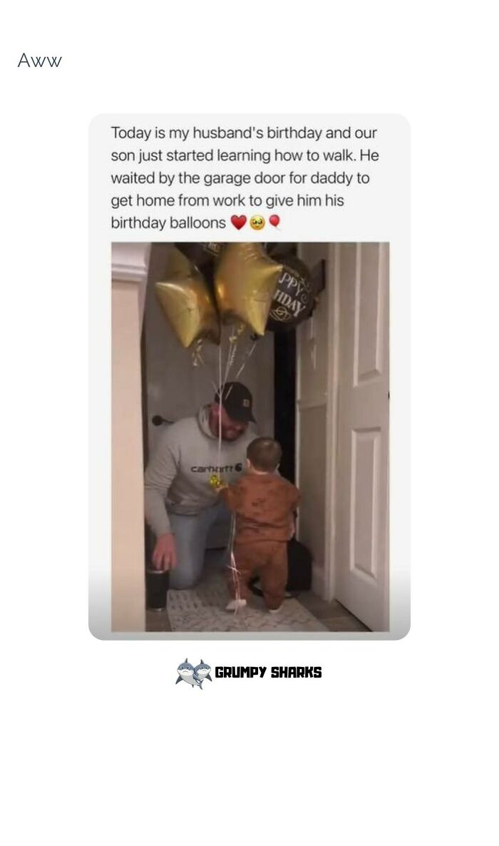 Toddler learning to walk hands birthday balloons to father in heartfelt moment of wholesome people and animals.