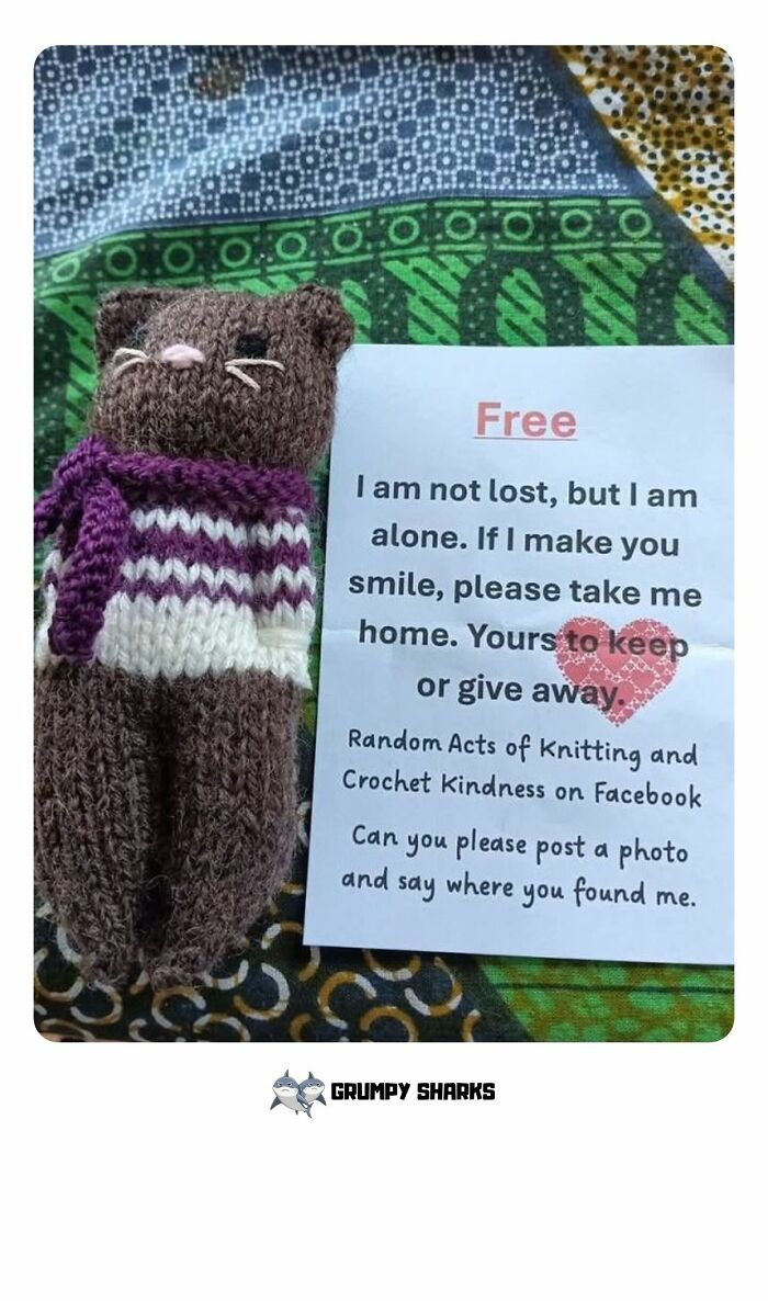 Knitted bear with a note offering it for free to bring smiles, showcasing wholesome people and animals kindness.