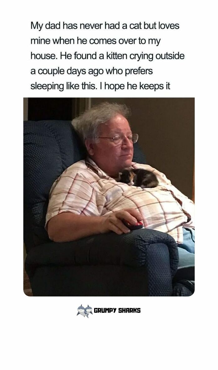 Older man sits in armchair with a kitten sleeping on his chest, showing wholesome people and animals making the world better.