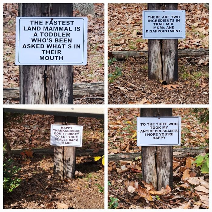 Four humorous outdoor signs on wooden posts amid autumn leaves, capturing wholesome people and animals moments.
