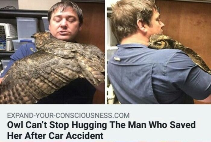 Man and owl sharing a heartfelt hug, showcasing wholesome people and animals in a touching moment of gratitude.