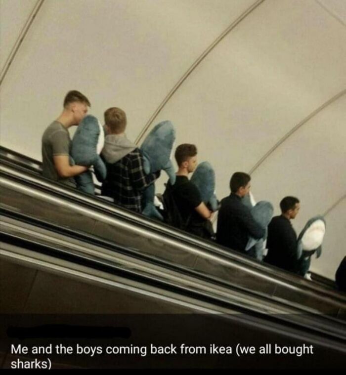 Five people on an escalator each holding large stuffed sharks, capturing wholesome people and animals kindness.