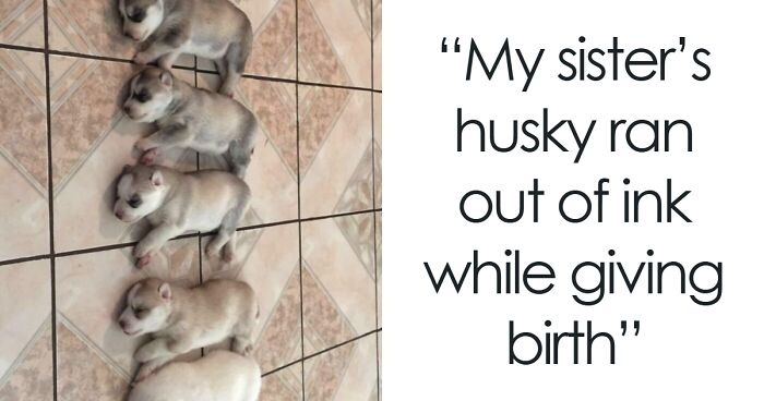 “Grandma Is Taking Over”: 50 Wholesome Posts To Distract You From The Current Horrors Of The World