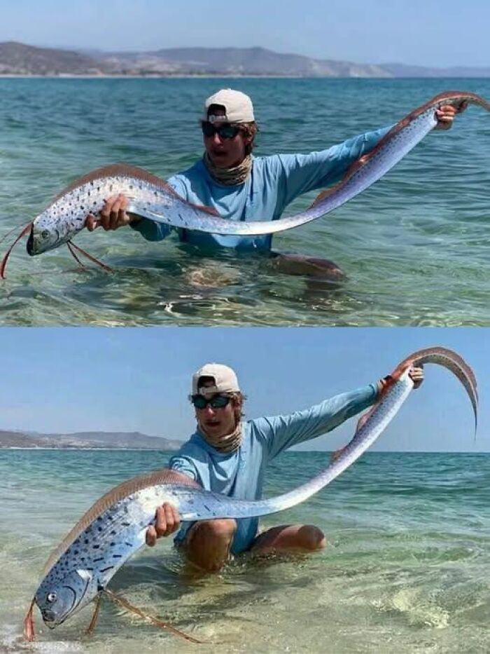 Man holding a long, spotted fish while sitting in clear ocean water in the wonderful world of marine life.