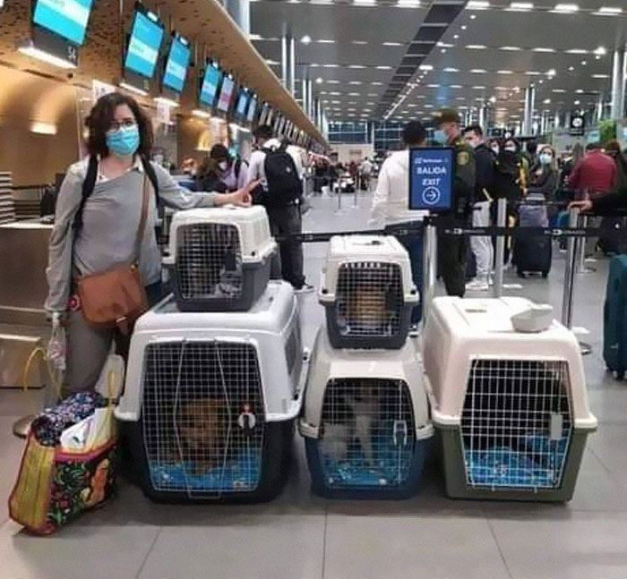 Woman wearing a mask standing at an airport with multiple pet carriers in a busy terminal, representing a wonderful world moment.
