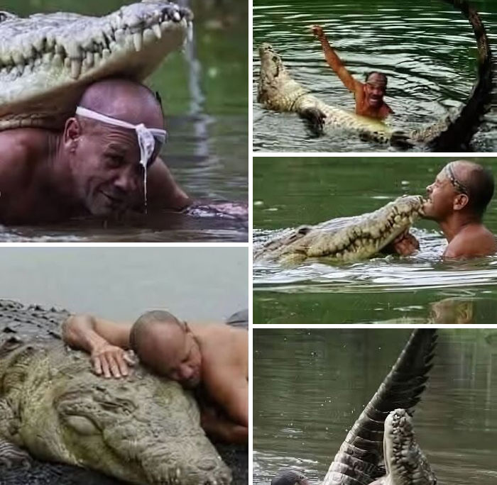 Man interacting closely with a large crocodile in water, showcasing amazing trust and the wonderful world of wildlife.
