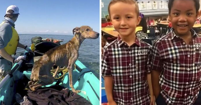 If The World Seems Like A Horrible Place Now, These 50 Positive Posts Might Be Just What You Need