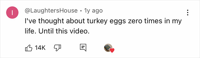 Social media comment expressing surprise about turkey eggs after watching a video, mentioning common poultry eggs. - 6