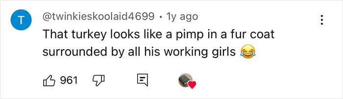 Screenshot of a social media comment humorously comparing a turkey to a pimp in a fur coat surrounded by working girls. - 11