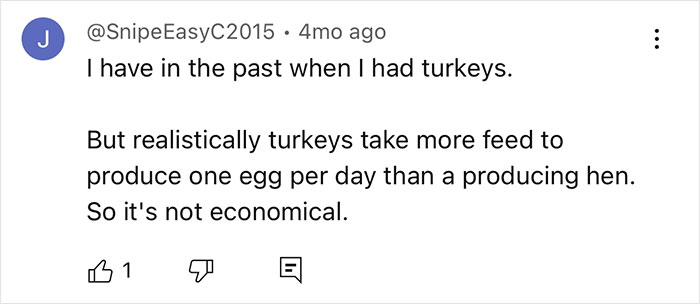 Screenshot of a comment discussing the economics of raising turkeys for turkey eggs compared to hens. - 20