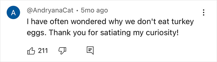 Comment expressing curiosity about why turkey eggs are not commonly eaten, mentioning chicken, duck, and quail eggs. - 13