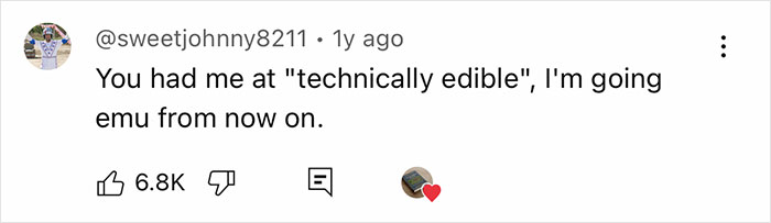 Comment on social media post mentioning trying emu eggs, with 6.8K likes and a heart reaction. - 7