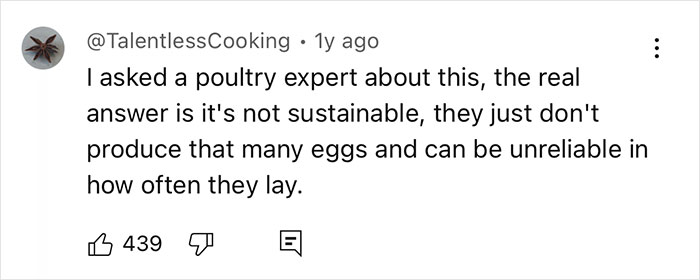 Comment from @TalentlessCooking discussing the sustainability and low production of turkey eggs compared to other poultry eggs. - 12