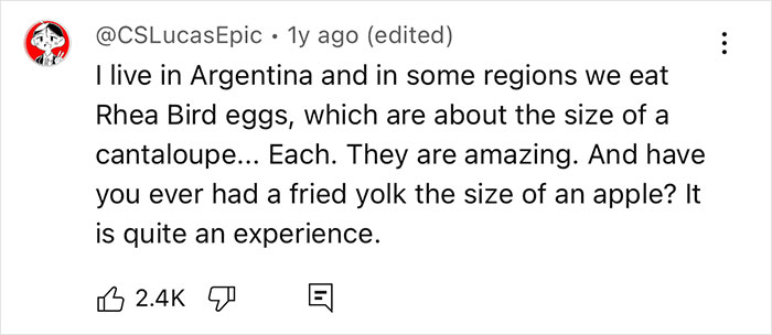 Comment about eating large Rhea Bird eggs in Argentina, mentioning their size and fried yolk experience, related to turkey eggs. - 10