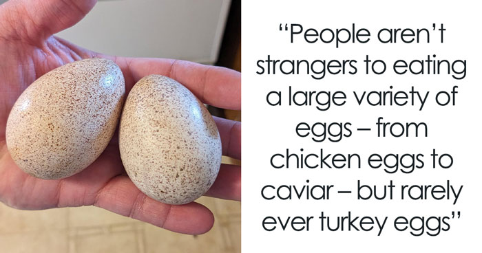 There’s Only One Reason Why Folks Don’t Really Eat Turkey Eggs And It Doesn’t Have To Do With Taste