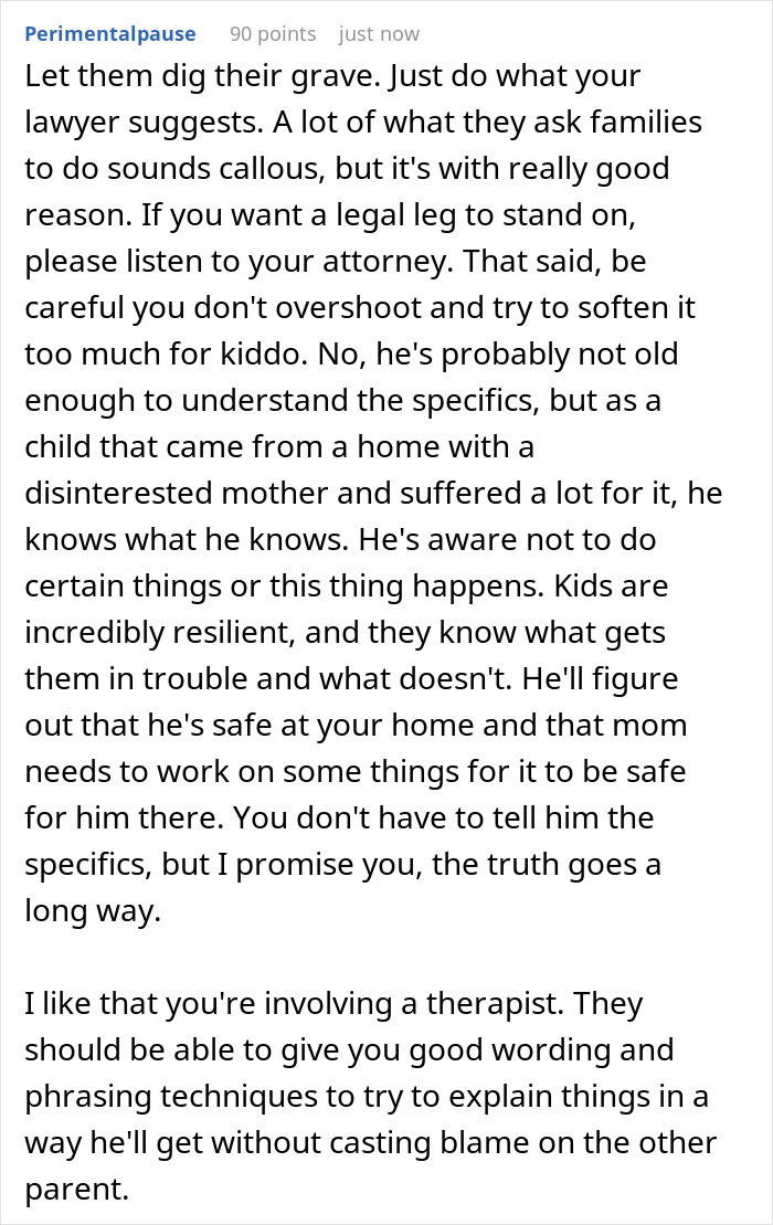 Comment discussing co-parenting challenges and CPS involvement during a family legal dispute advising caution and therapy.