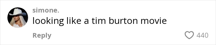 A social media comment reading looking like a tim burton movie with 440 likes about women who get facelifts at 28. A social media comment reading looking like a tim burton movie with 440 likes about women who get facelifts at 28.