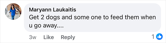 Comment from Maryann Laukaitis suggesting to get dogs and someone to feed them when away, related to woman discovering phone buried in yard. Comment from Maryann Laukaitis suggesting to get dogs and someone to feed them when away, related to woman discovering phone buried in yard.