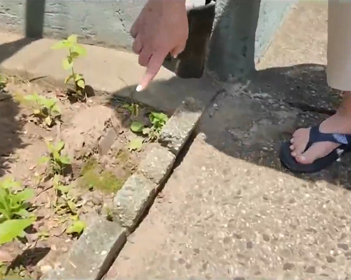 Woman pointing to phone buried in yard as police warn about disturbing new trend with hidden devices outdoors. Woman pointing to phone buried in yard as police warn about disturbing new trend with hidden devices outdoors.