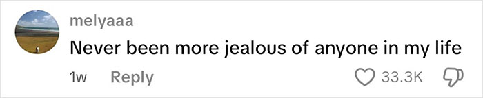 Screenshot of a social media comment expressing strong envy with 33.3K likes and user profile icon.