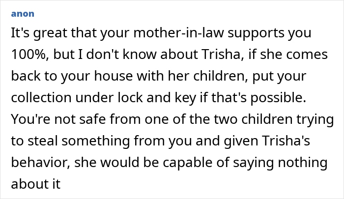 Comment advising to secure toy collection from SIL’s children due to safety concerns and past behavior. - 40