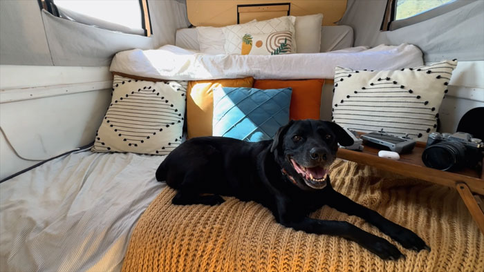 Black dog lying on a knitted blanket inside a cozy van converted for travel and living on the road. - 6