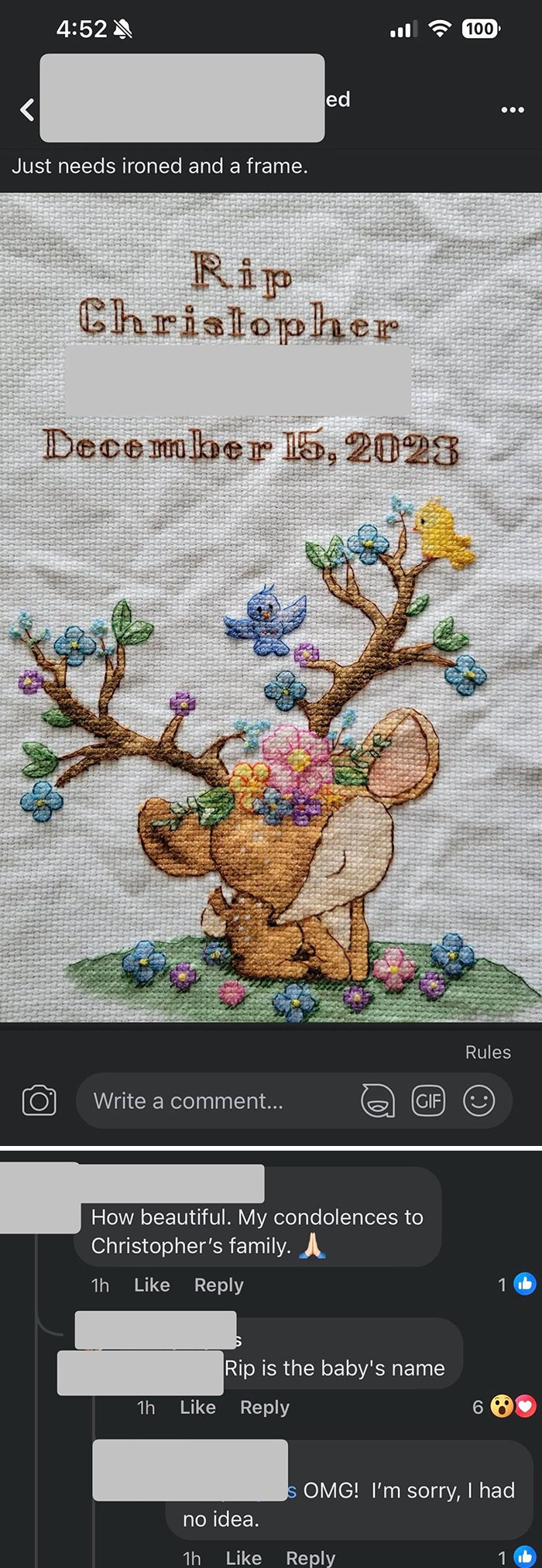 Embroidered fabric with baby name Rip Christopher and floral deer design, related to baby names parents loved but judged.