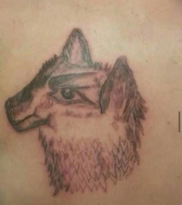 Tattoo of a wolf with distorted facial features, showcasing one of the worst examples of abysmally bad tattoos on skin.