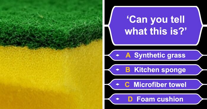 These 25 Zoomed-In Images Test Will Reveal How Sharp Your Observation Skills Really Are