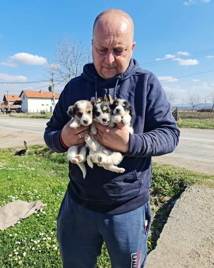 Man in hoodie holding three small puppies outside at Serbia’s largest shelter caring for rescued animals. Man in hoodie holding three small puppies outside at Serbia’s largest shelter caring for rescued animals.
