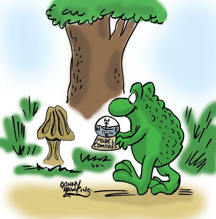 Green cartoon frog holding a morel compass near a tree and mushroom in a playful one-panel comic style.