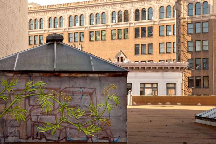 Street art painting of green leaves on an urban rooftop structure with a background of brick city buildings.
