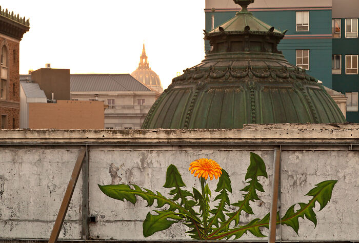 Street art photo of a vibrant orange flower mural painted on an urban rooftop wall with city buildings in the background.
