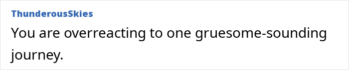 Comment from ThunderousSkies discussing a challenging six-leg flight with a kid that traumatized a mom venting online.