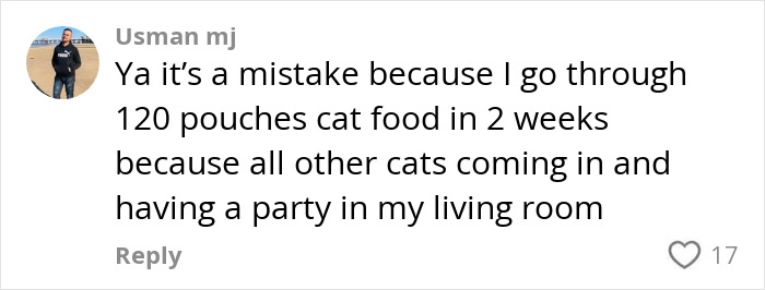 Comment on phone screen about cat food usage and cats having a party in the living room after handyman installs new cat flap.