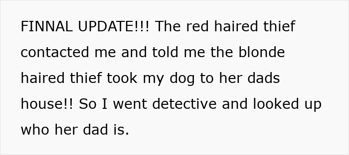 Text message update about a dog theft involving a red-haired and blonde-haired thief described by the owner. - 28