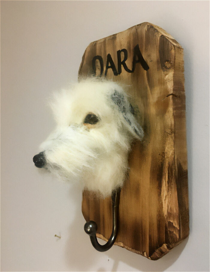 Mounted dog head coat hook made from soft materials, showcasing one of the weirdest things seen in someone else’s home. - 22