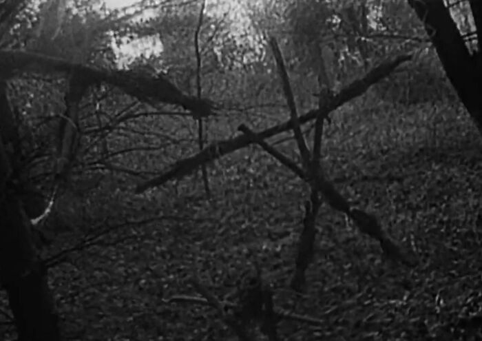 Dark eerie forest scene with tangled branches and shadows, evoking the fear of spending time in the woods. - 14