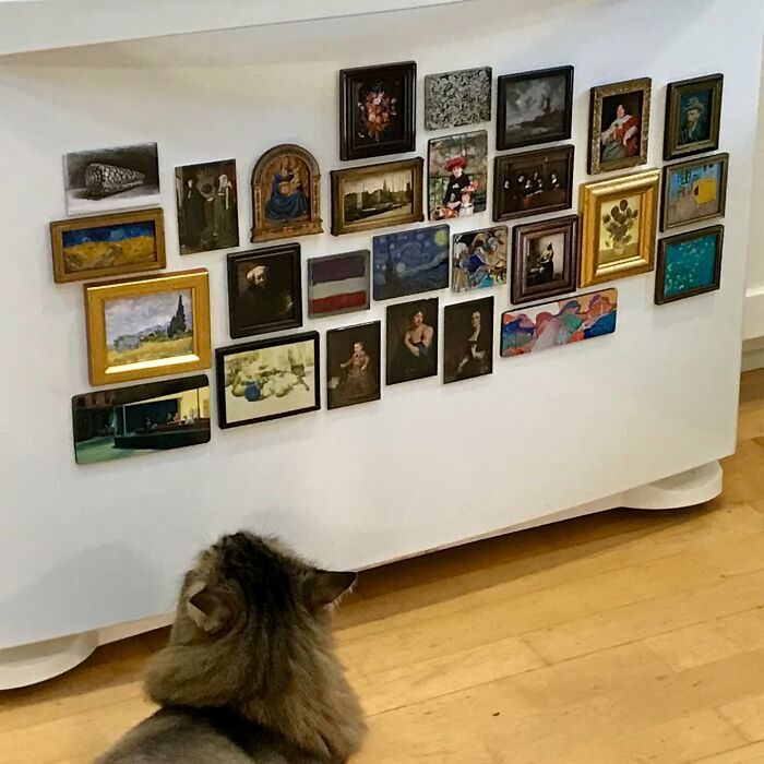 Cat looking at a collection of miniature paintings, a unique decor piece that made homes a more magical place.