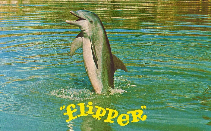 People Who Were Traumatized After Learning These 39 Facts Shared Them In This Online Thread