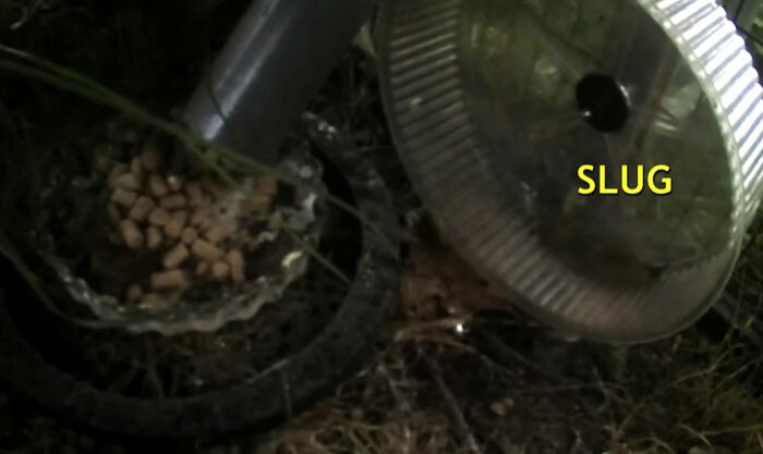 40 Fascinating Facts That People Learned Today And Couldn’t Wait To Share (New Facts)